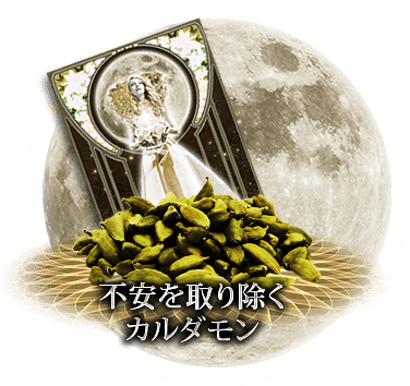 不安を取り除く　カルダモン