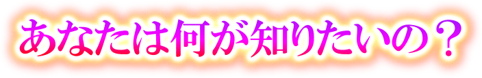 あなたは何が知りたいの？
